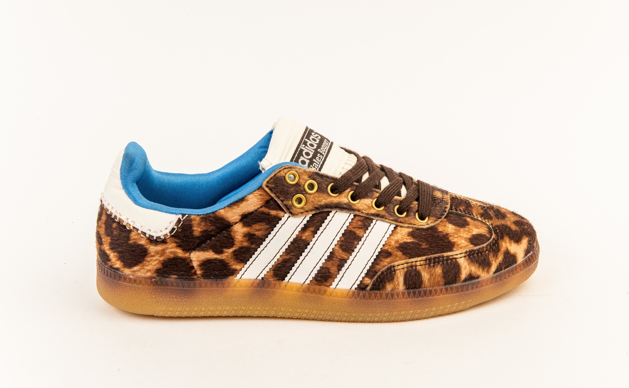 487170433_1057136379772665_1415707946699712997_n