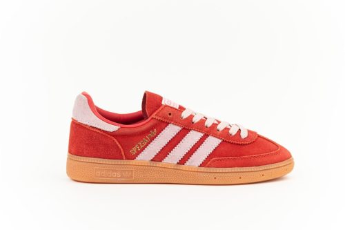 486780934 1057136463105990 2206238596218229962 n