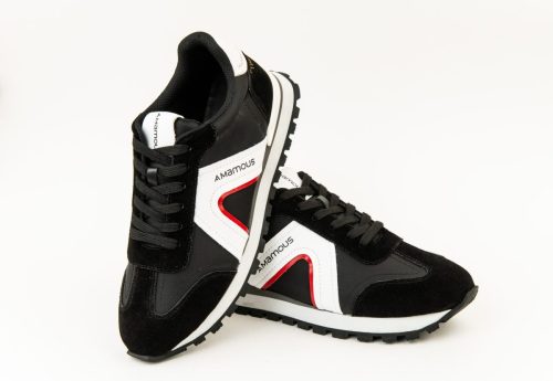 487113850 1056657286487241 954653263011463282 n