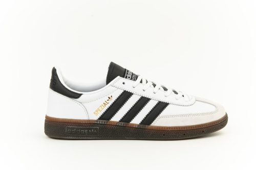 487297159 1057136449772658 1739102828373531895 n